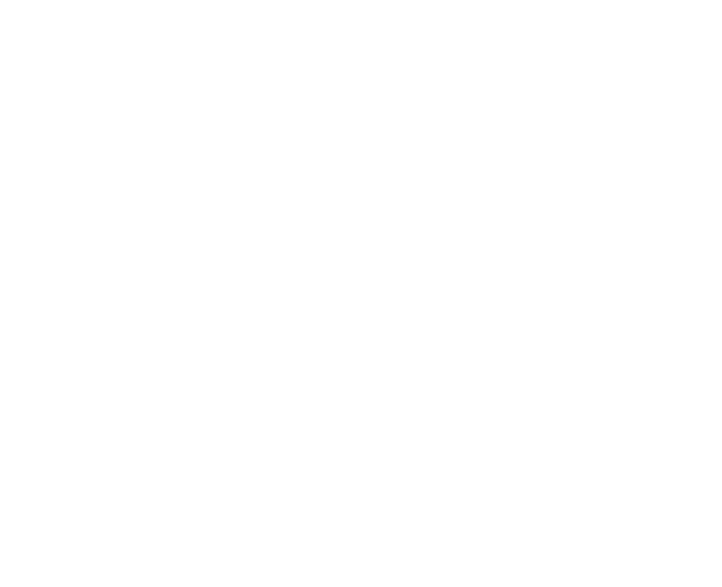 Boston Chimney Sweep Logo